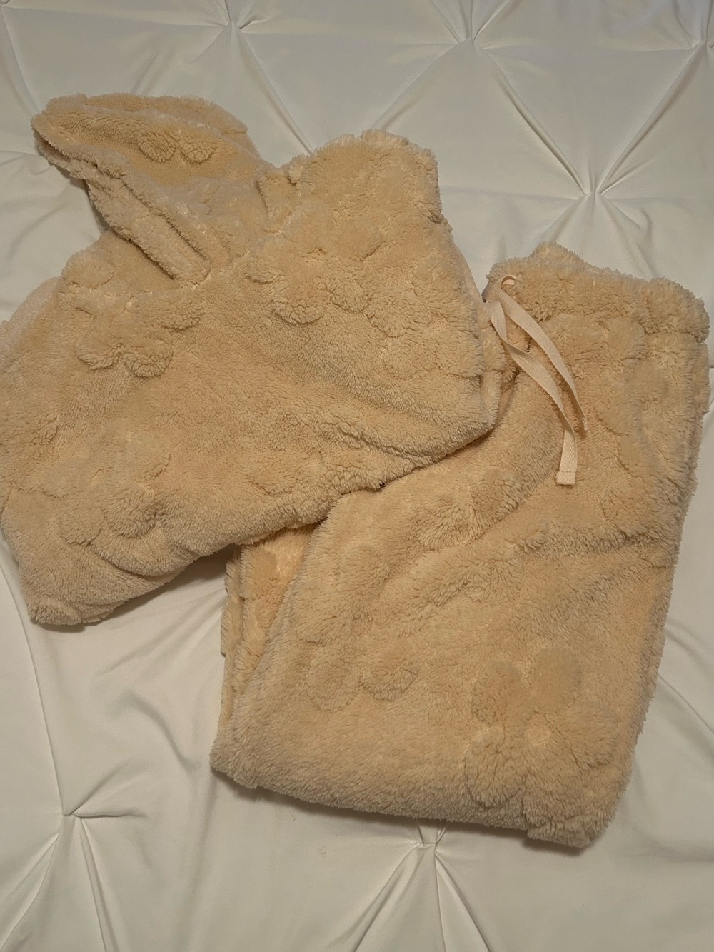 Cozy Floral Plush Hoodie & Jogger Set - Cream